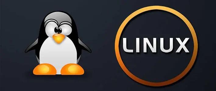 java程序员一定要学会的骚操作“Linux下查看、卸载、安装jdk”