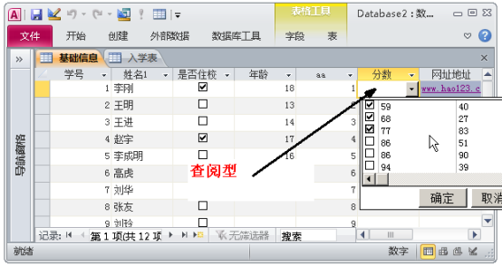 一文进阶ACCESS数据库，小白也能成为数据库使用高手