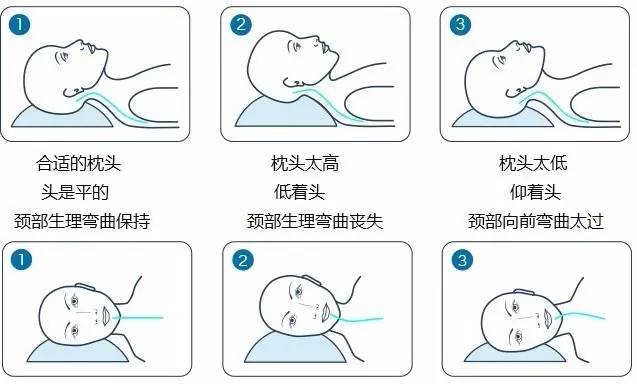 枕头你选对了吗？常见材质枕头横评告诉你哪款最适合你