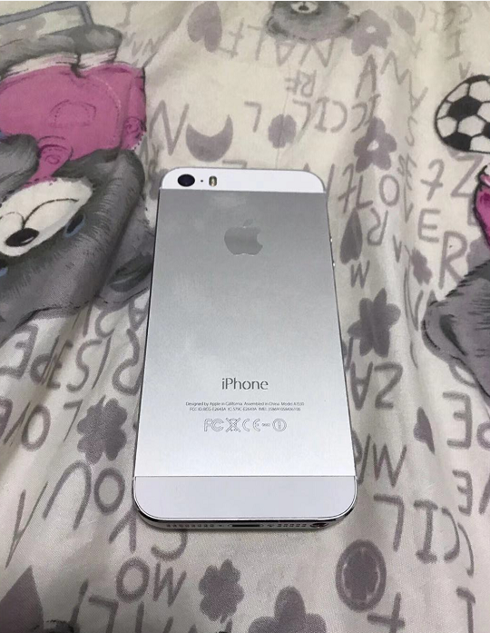 这款iPhone5s要300元，看到系统果断拿下！