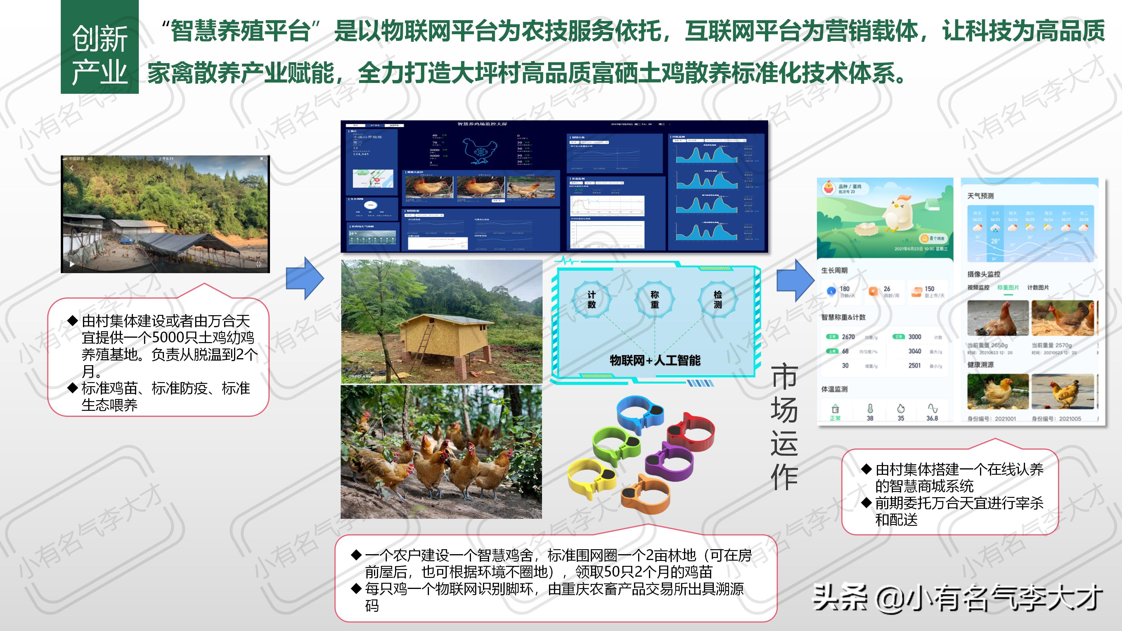 农业品牌综合创建及营销策划方案