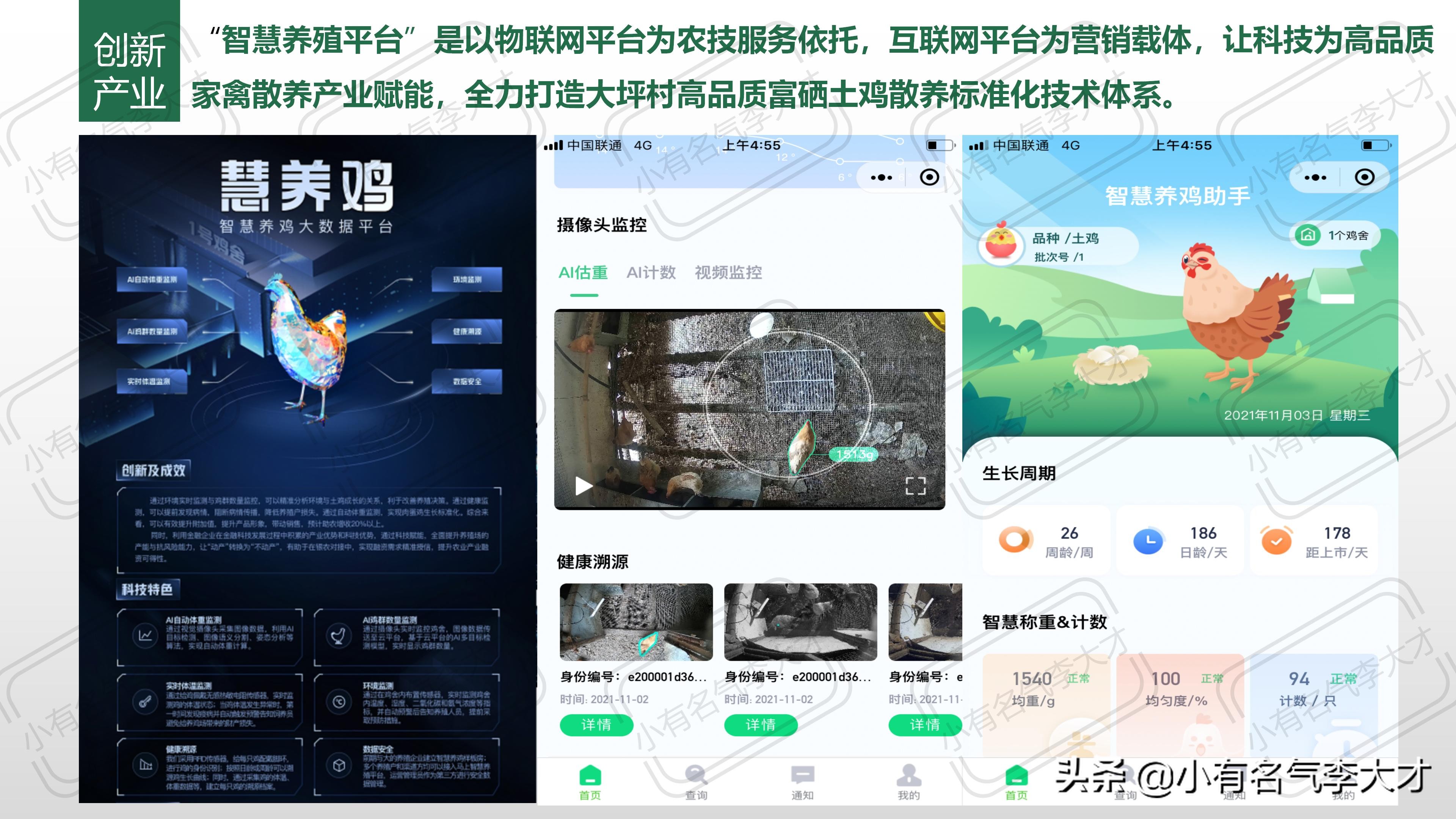 农业品牌综合创建及营销策划方案