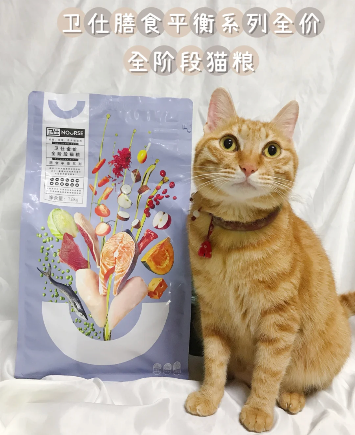 猫粮什么牌子好，国产三大安全猫粮推荐