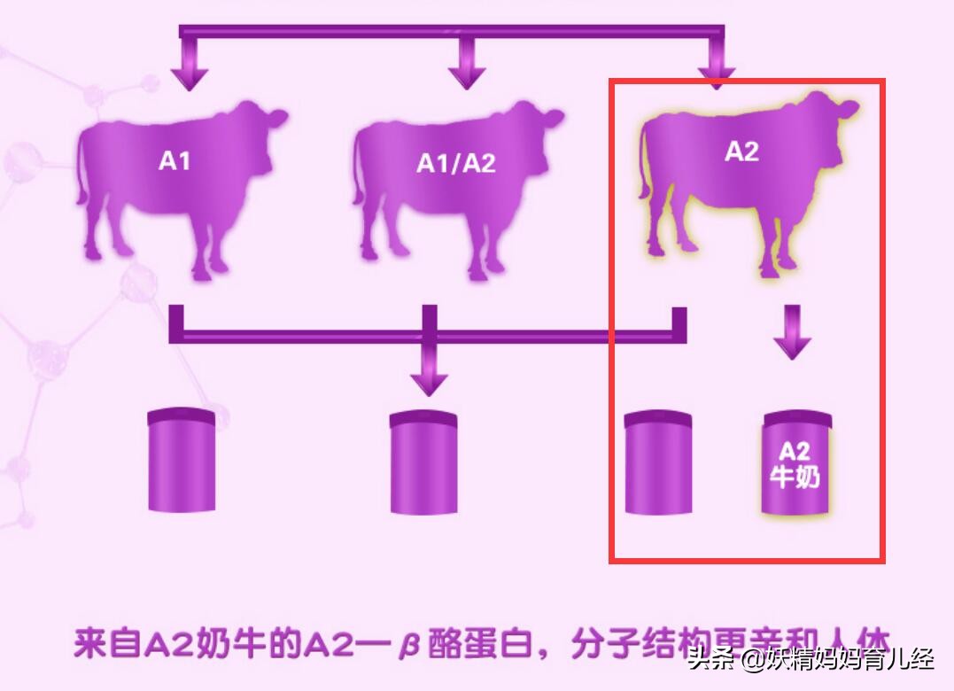 3段奶粉选购猫腻多，商家不告诉你的真相，都在这