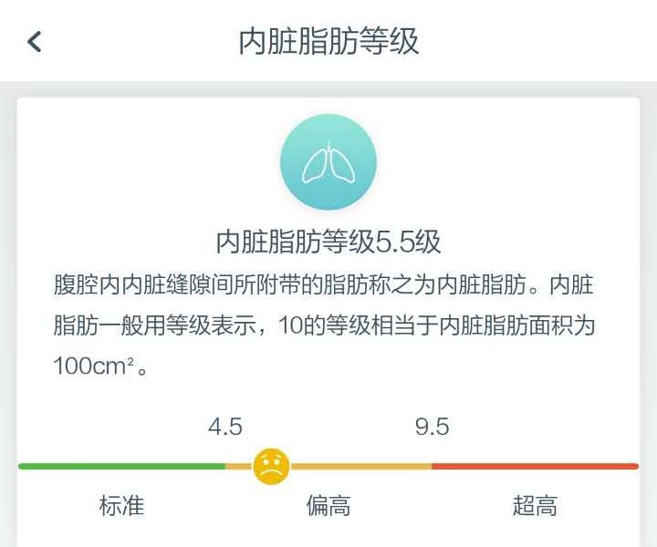 你以为“秤”只测体重就out了 荣耀体脂秤体验