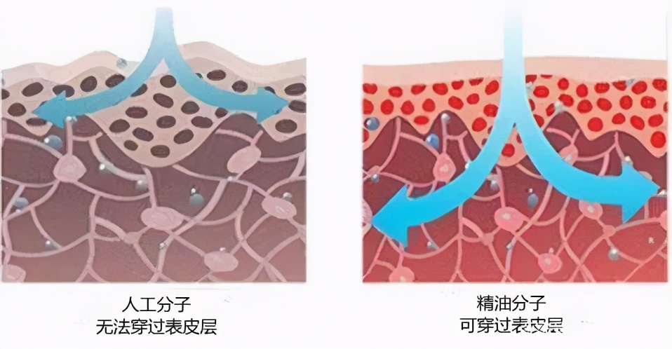 都说精油护肤好，但是你知道正确的使用方法吗？