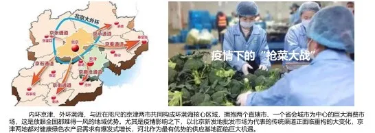 如何打造更有影响力的河北农业品牌？