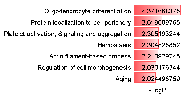 用Excel绘制Cell上的漂亮配图