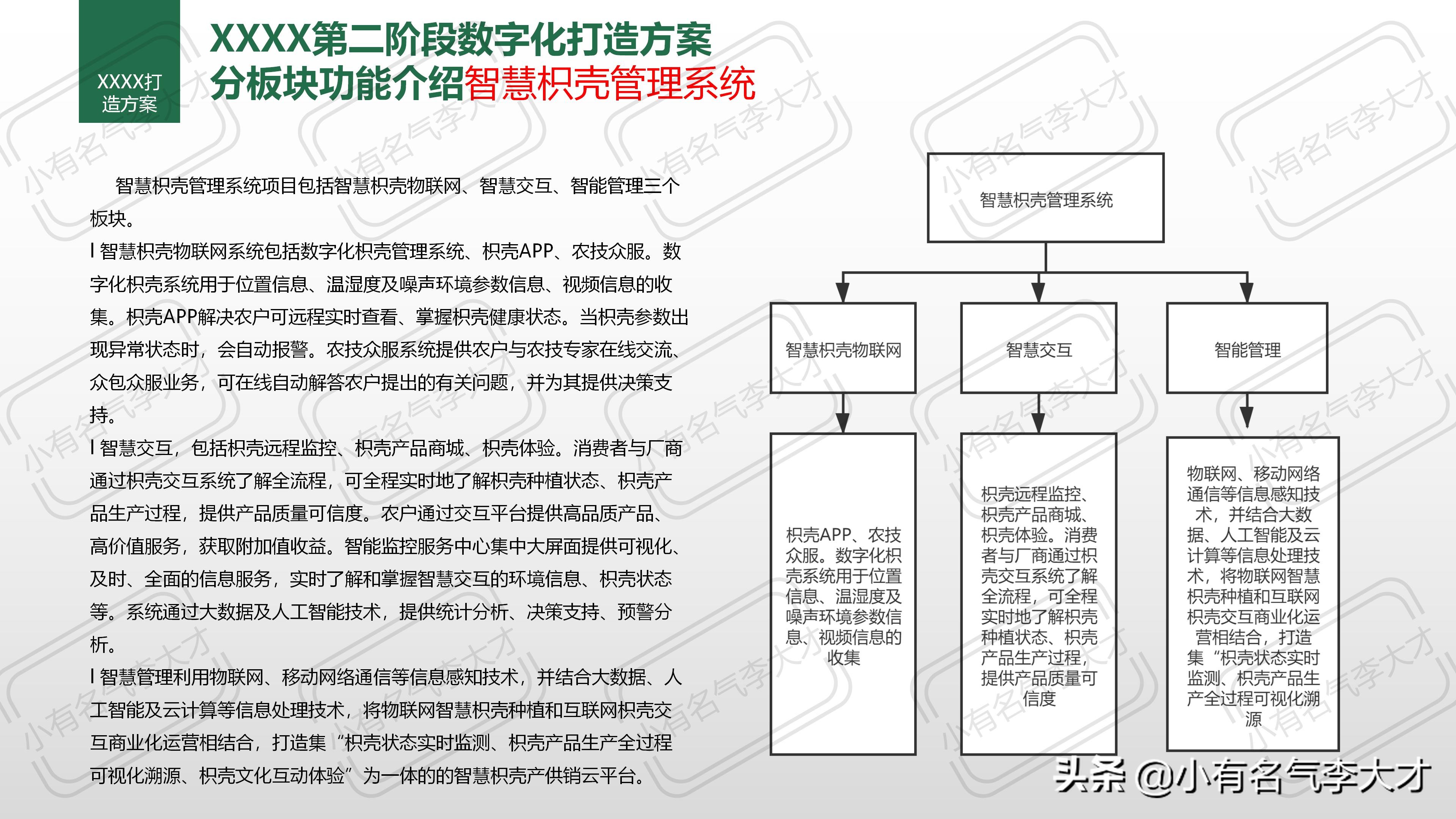 农业品牌综合创建及营销策划方案