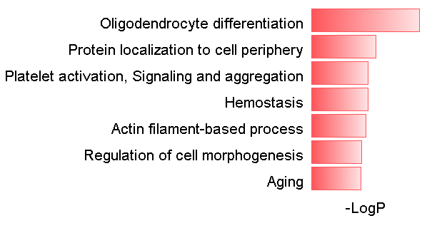 用Excel绘制Cell上的漂亮配图