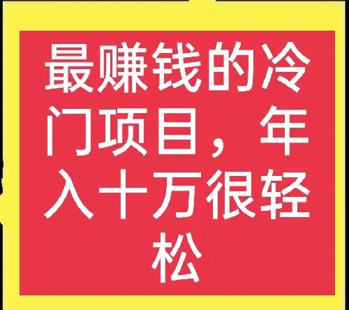 冷门项目真的很赚钱，只是懂行的人不多，想赚钱的快来学