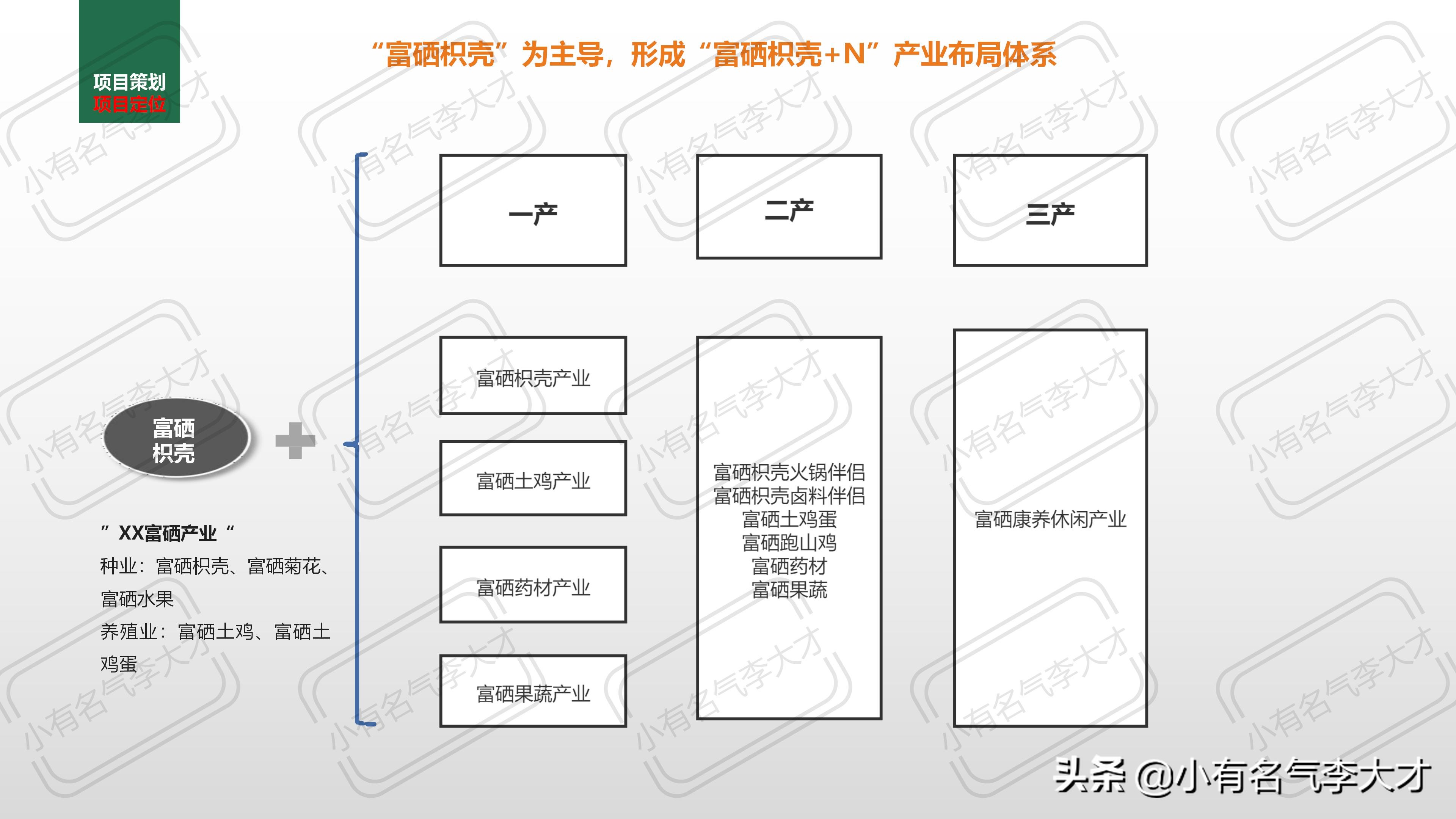 农业品牌综合创建及营销策划方案