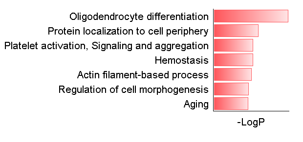 用Excel绘制Cell上的漂亮配图