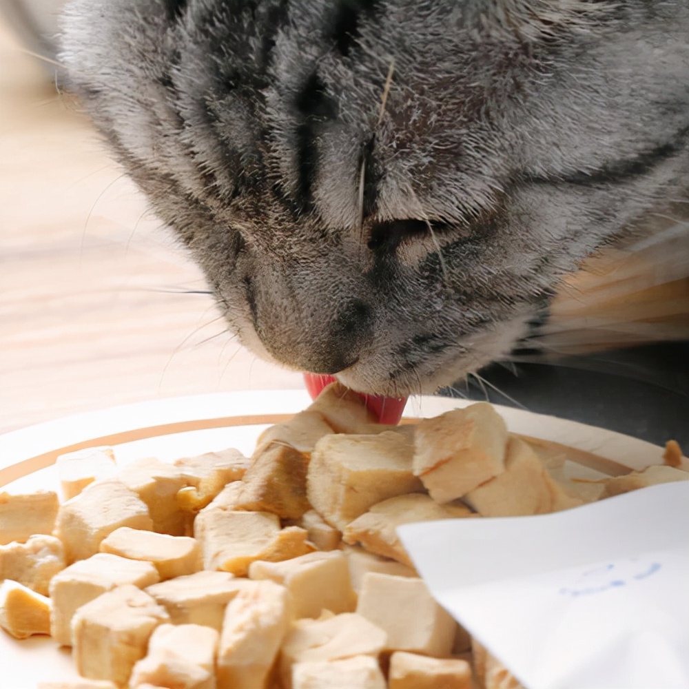 双11必囤的“猫零食”篇，看完记得收藏，帮你避开雷区