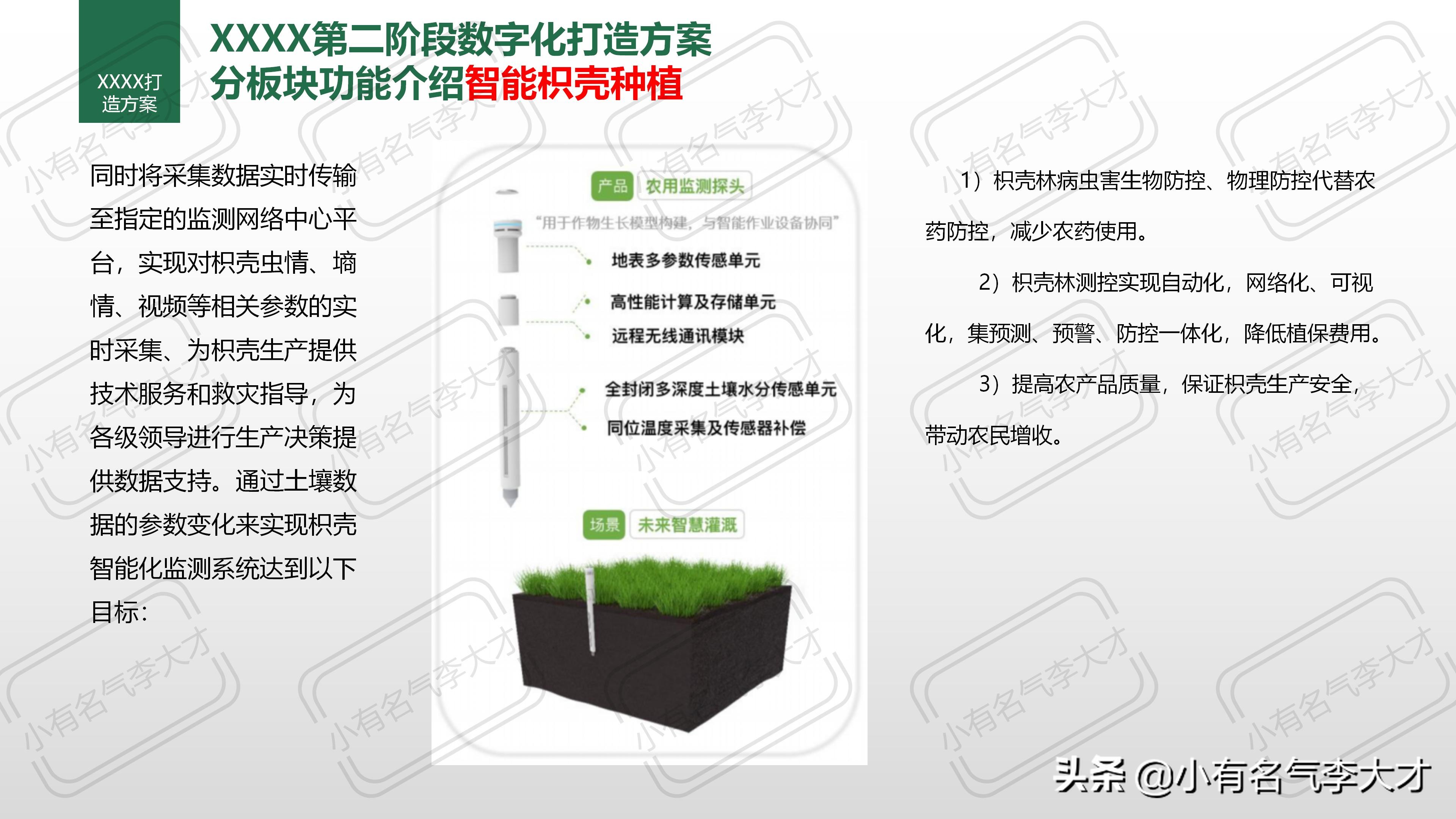 农业品牌综合创建及营销策划方案