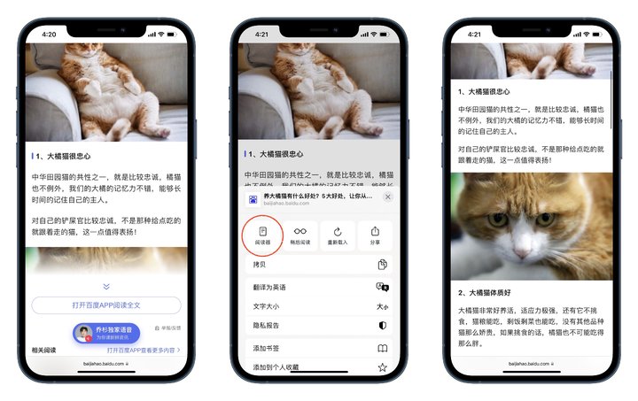 iPhone 上的辅助功能，可能是你遗忘的宝藏