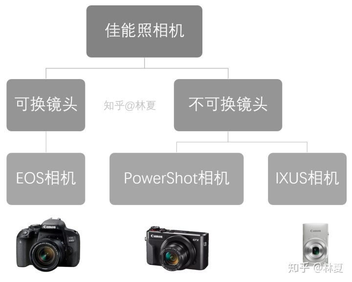 从型号了解一台相机·佳能篇