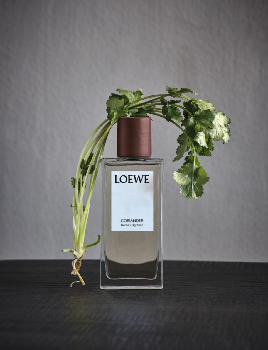 深度｜百年奢侈品牌 LOEWE 如何打造不一样的香氛产品线？