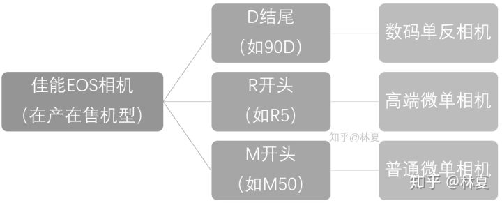 从型号了解一台相机·佳能篇