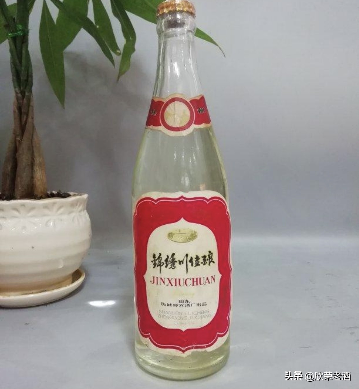 走近老酒系列18——趵突泉酒